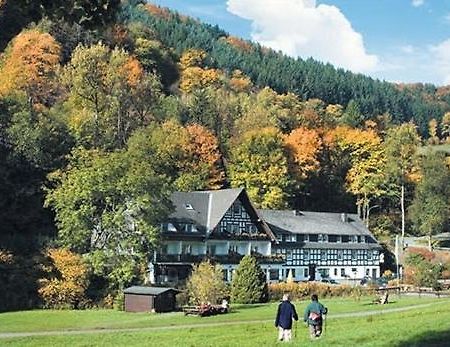 Tommes Gaestehaus Zur Muehle Schmallenberg Dış mekan fotoğraf