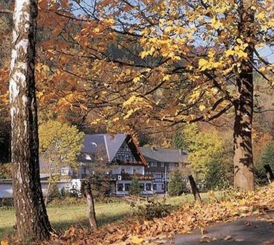 Tommes Gaestehaus Zur Muehle Schmallenberg Dış mekan fotoğraf